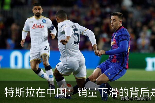 特斯拉在中国：销量下滑的背后是什么？